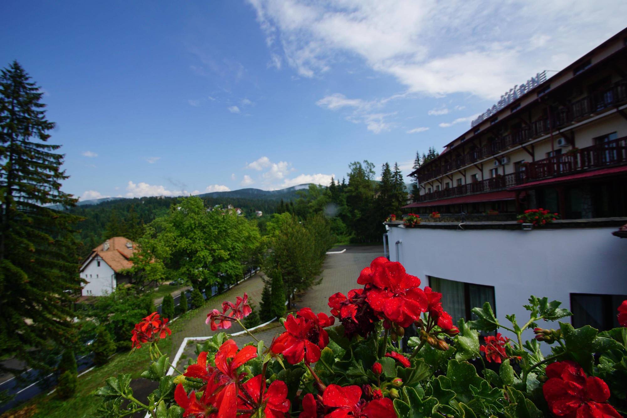 Hotel Rozmarin Predeal Bagian luar foto
