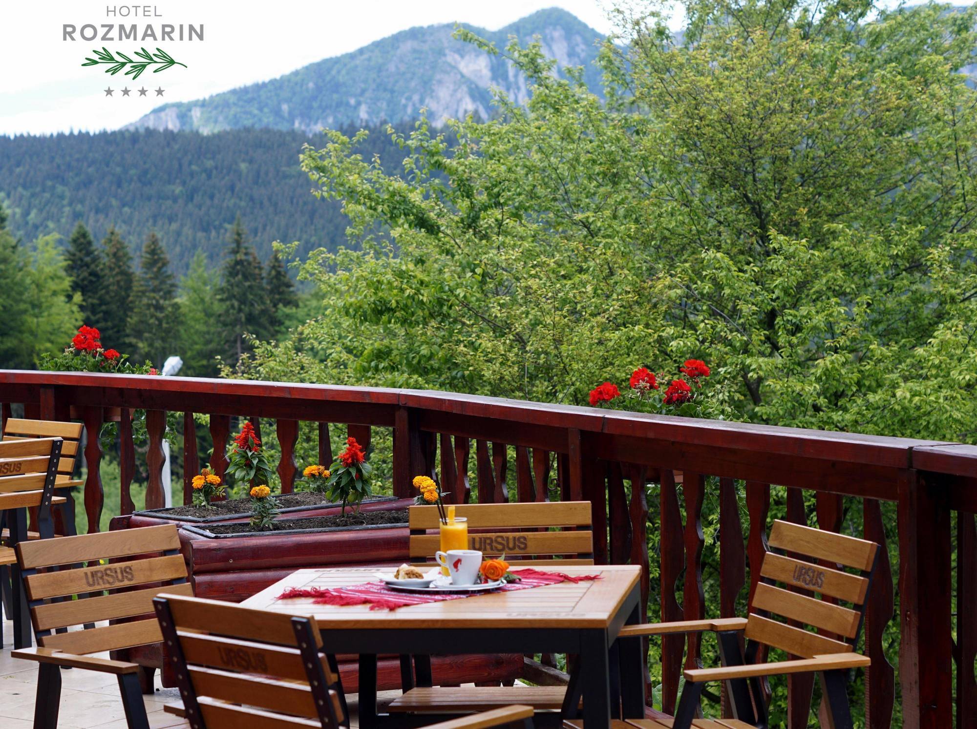 Hotel Rozmarin Predeal Bagian luar foto